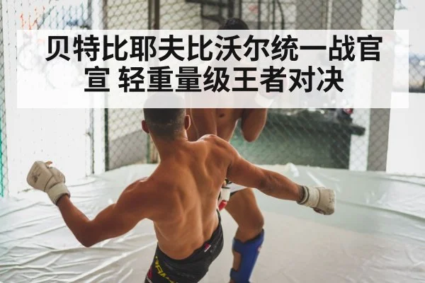 boxing fight