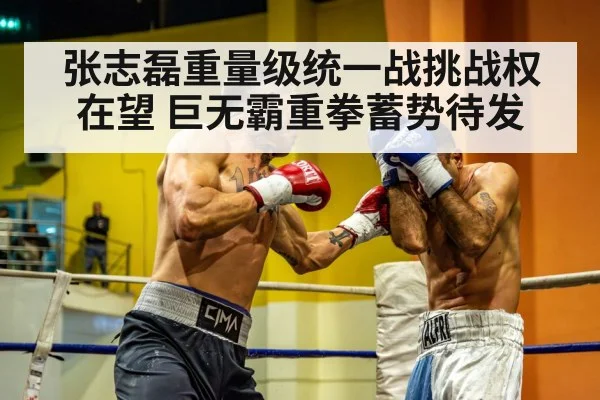 张志磊重量级统一战挑战权在望 巨无霸重拳蓄势待发