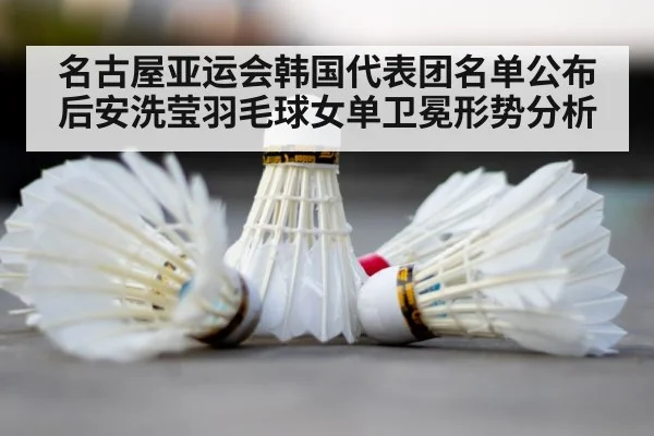 badminton shuttlecock court